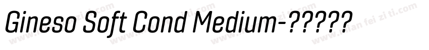 Gineso Soft Cond Medium字体转换